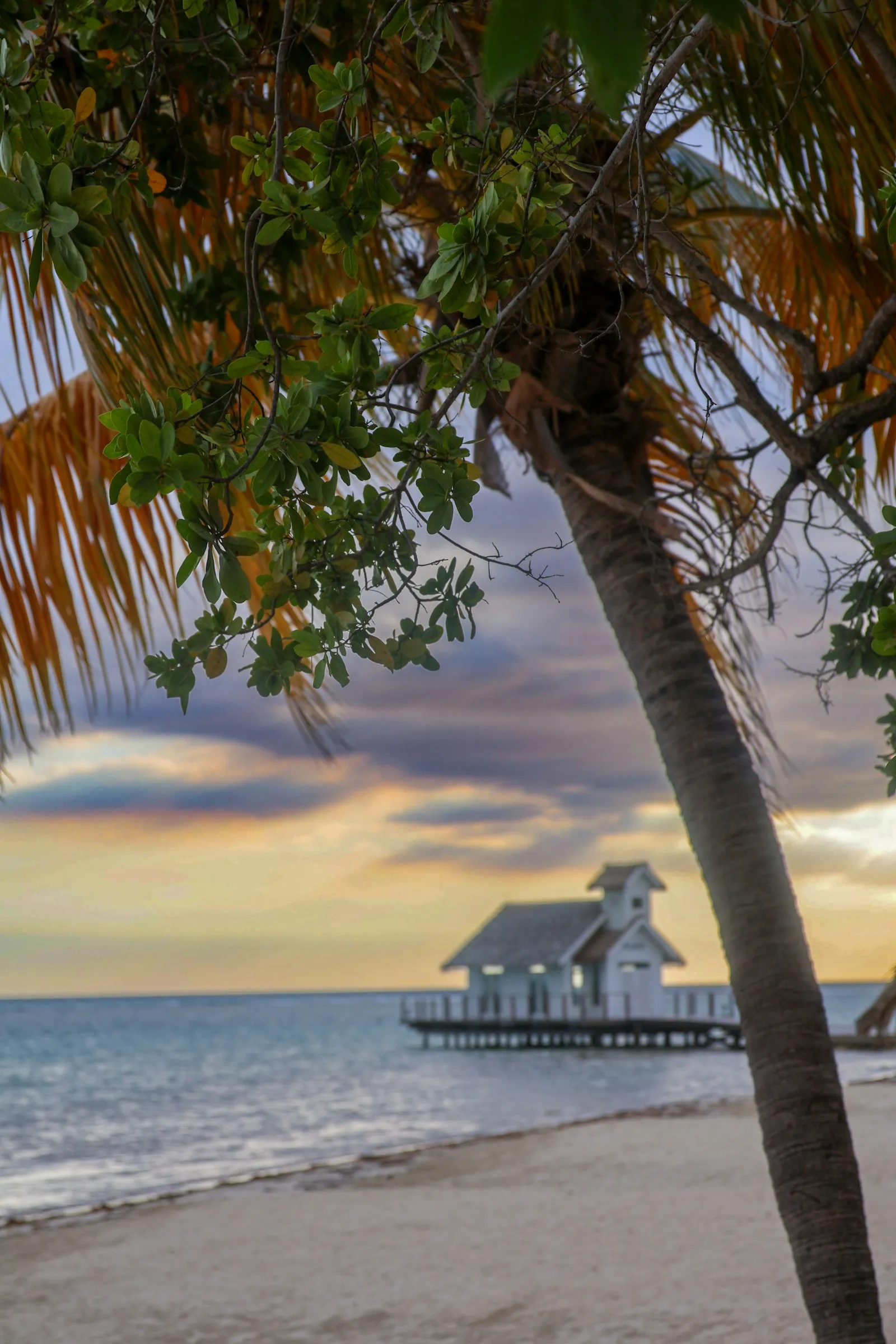 Private airport transfer to Clarendon